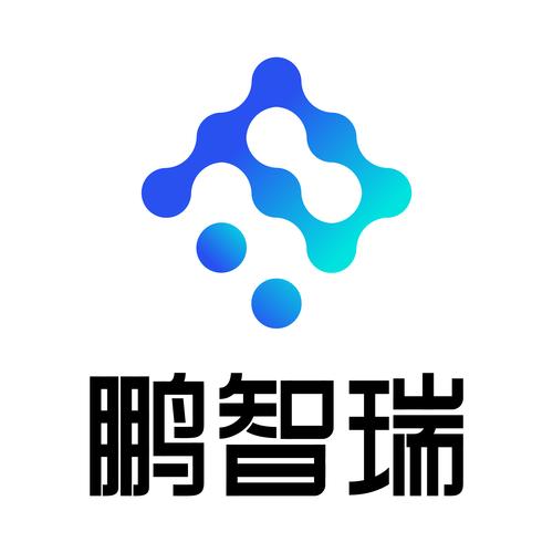 电子政务系统开发与应用服务;信息传输,软件和信息技术服务业